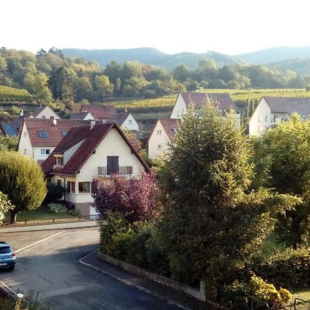 Hotel Marcia Donatti - A L'Ombre Des Coteaux Sao Paulo Kaysersberg-Vignoble Exteriér fotografie