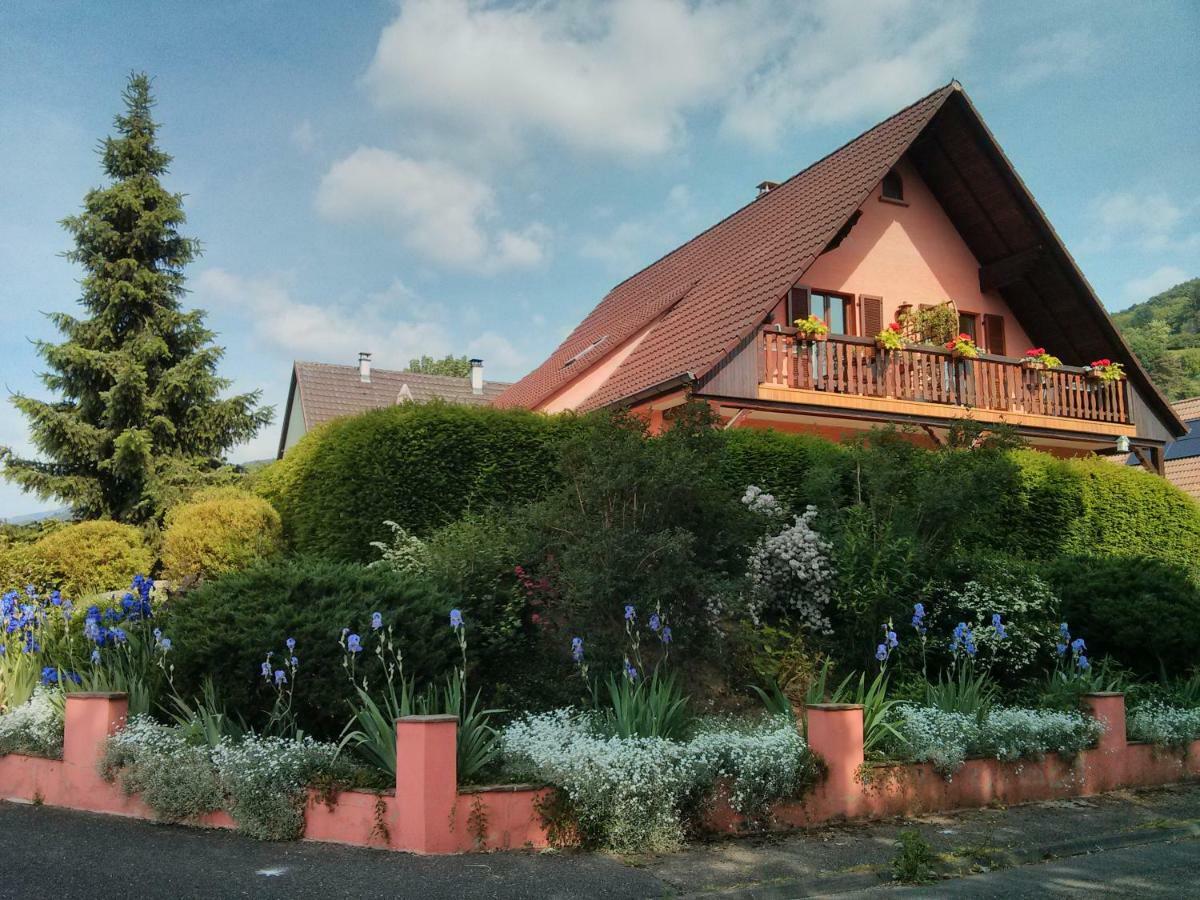 Hotel Marcia Donatti - A L'Ombre Des Coteaux Sao Paulo Kaysersberg-Vignoble Exteriér fotografie